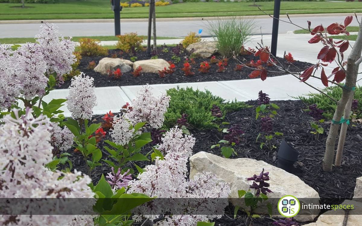 Outdoor Living Spaces : Patio, water feature, grill bar